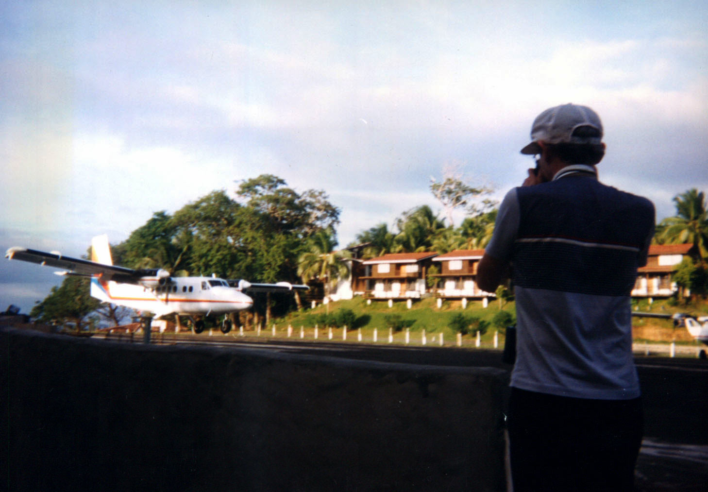Cerna Isla Morada