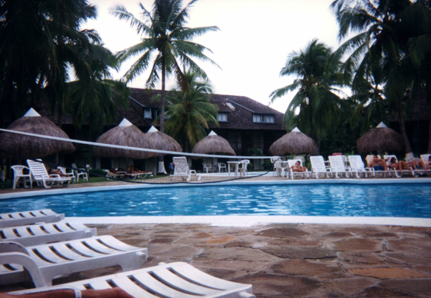 Cerna Isla Morada