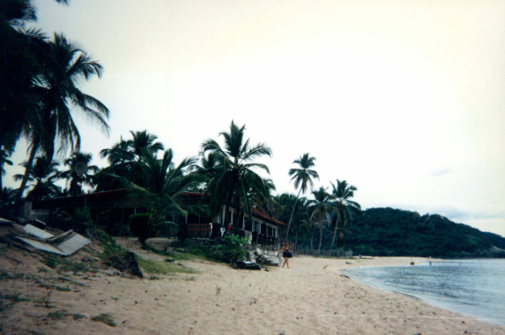 Cerna Isla Morada