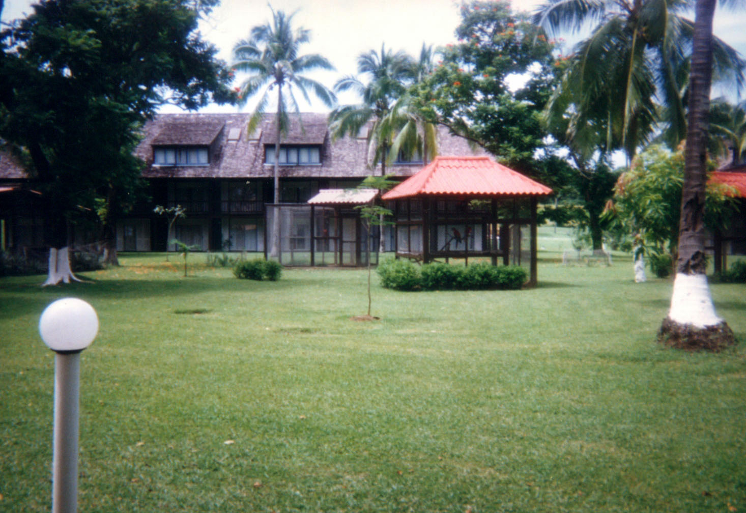 Cerna Isla Morada