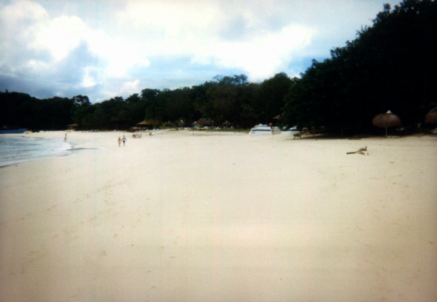 Cerna Isla Morada