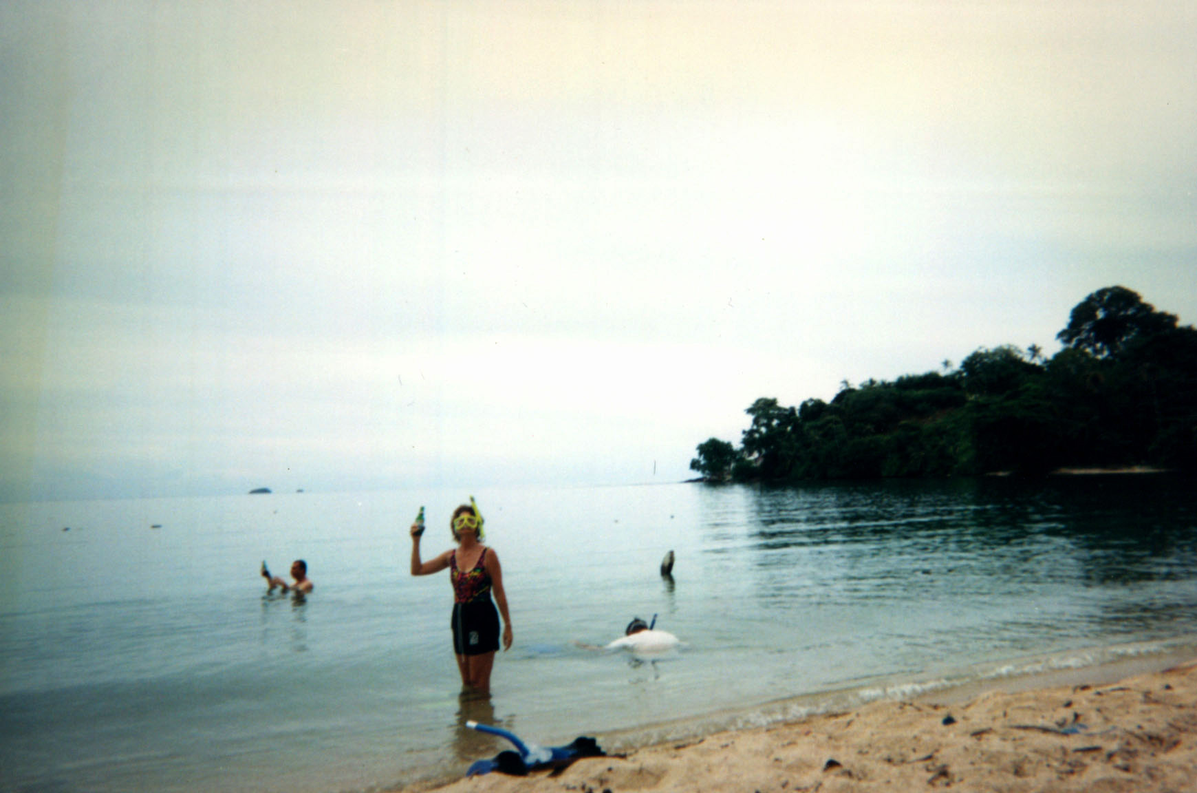 Cerna Isla Morada