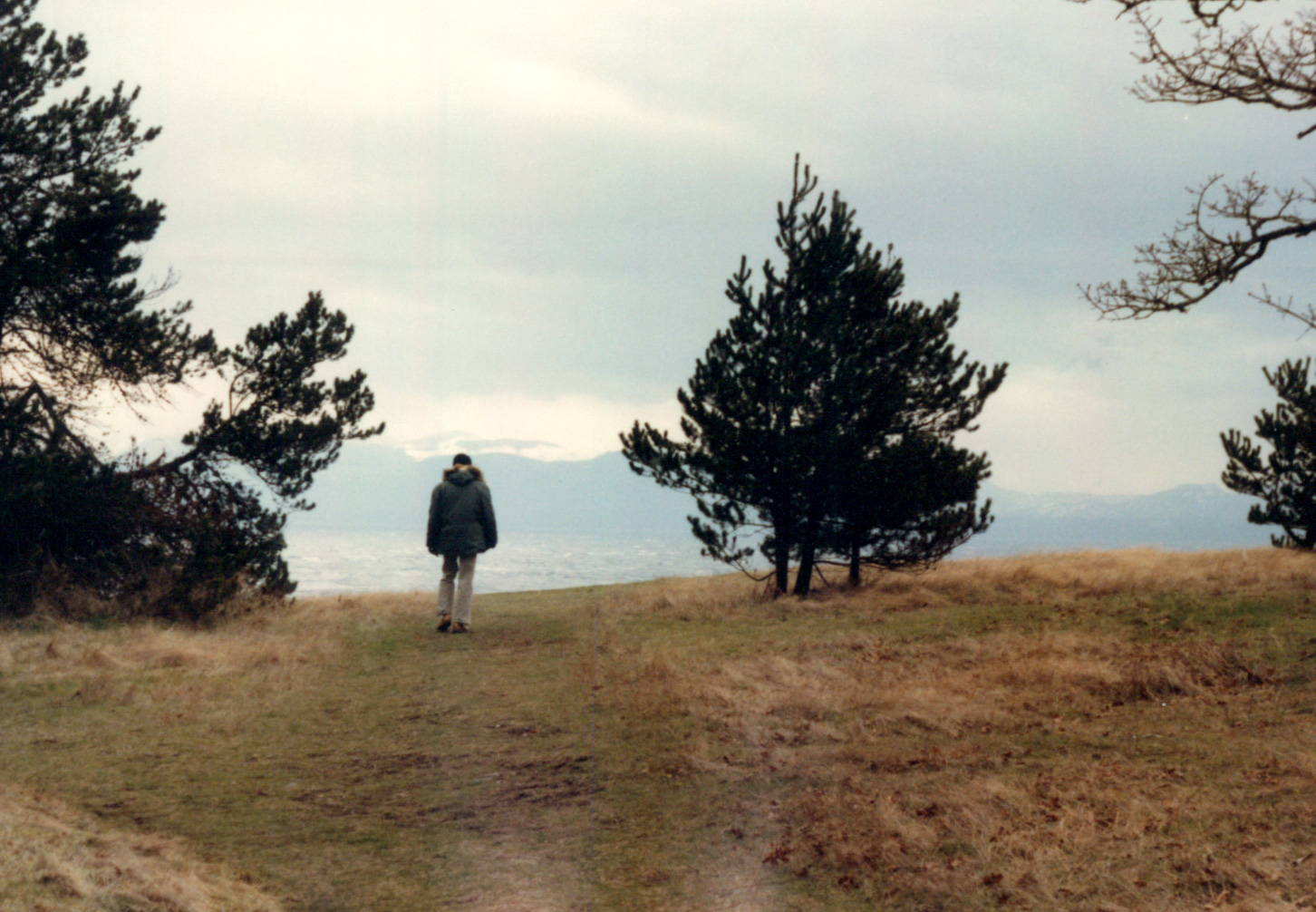 Comox