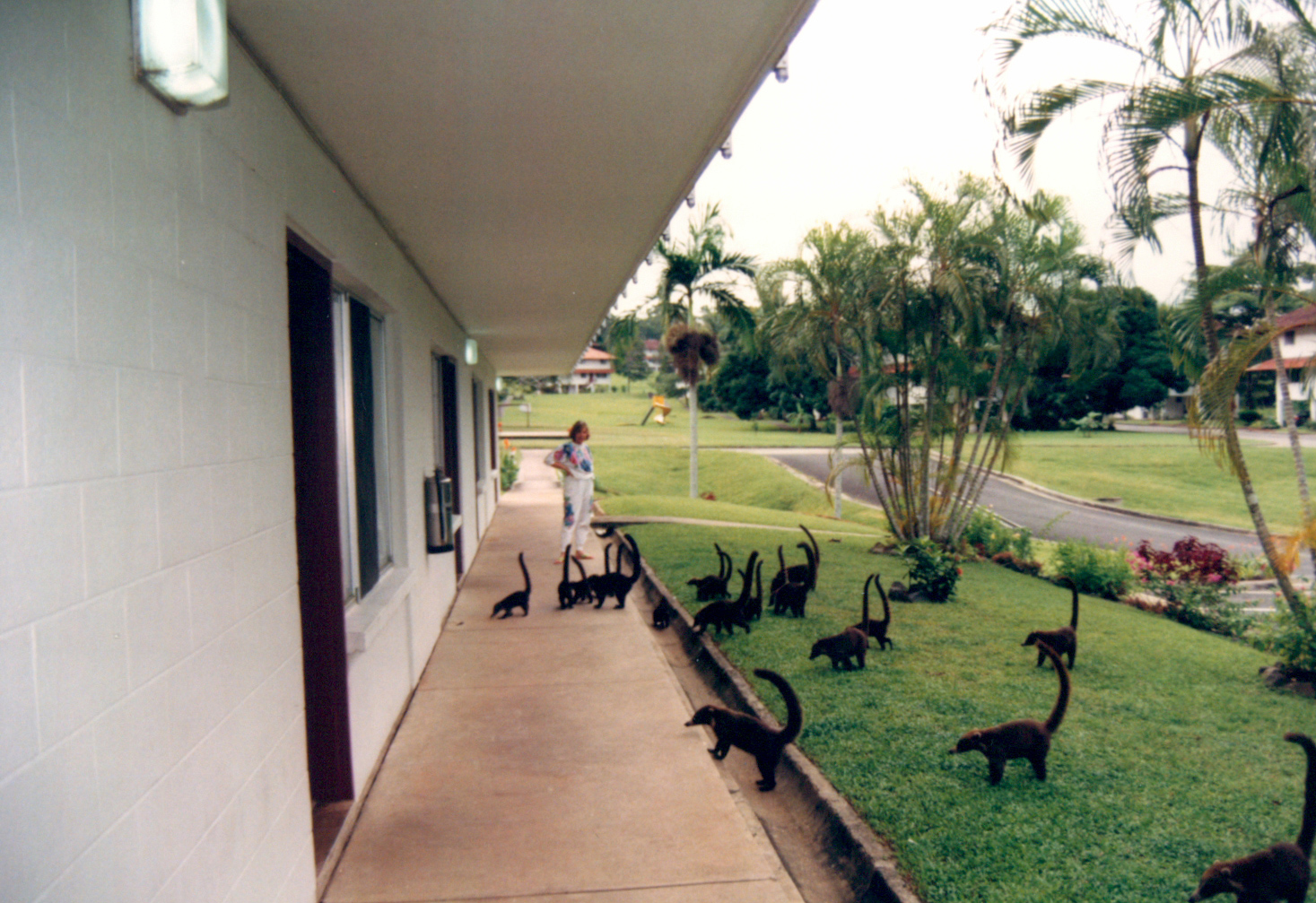 Panama 1994