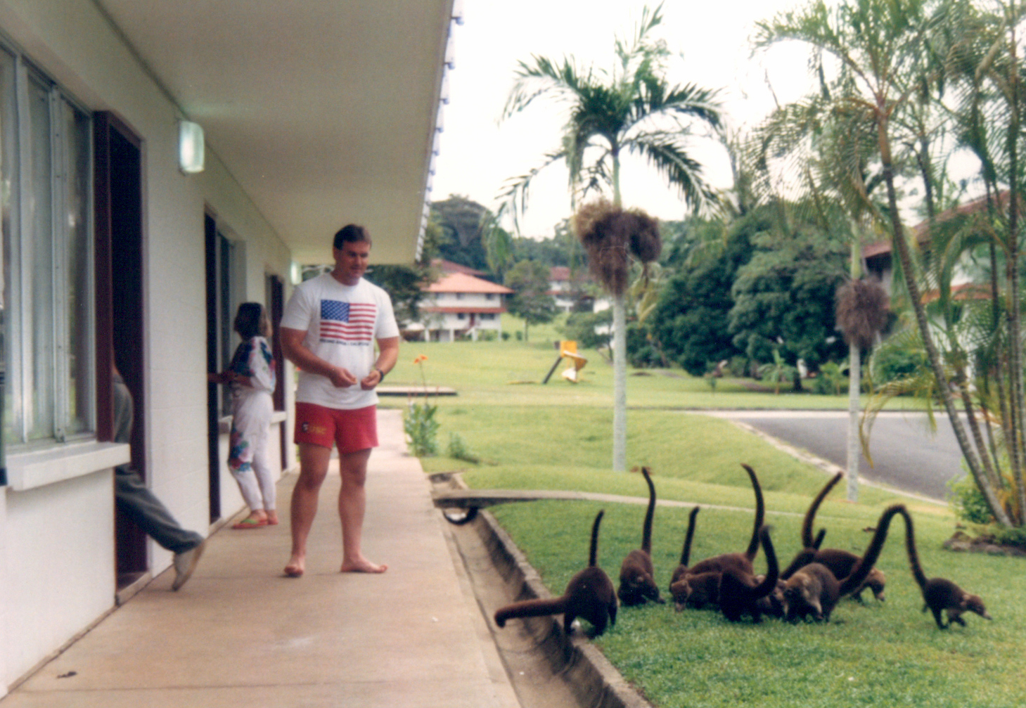 Panama 1994 